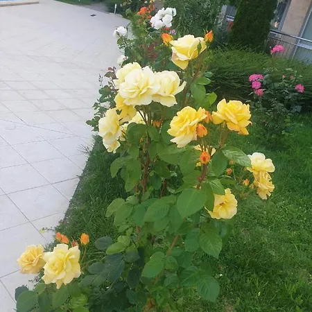 Elisa 公寓 比亚拉