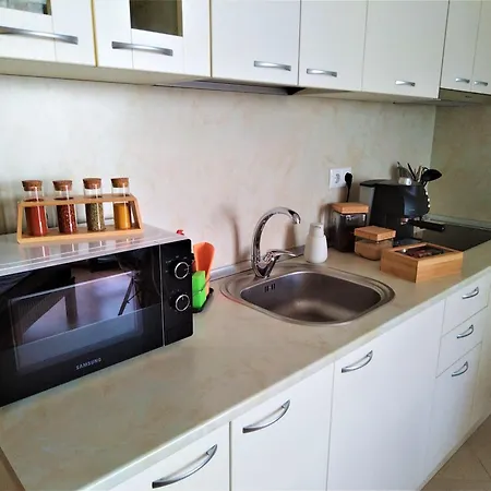 公寓 Elisa 比亚拉